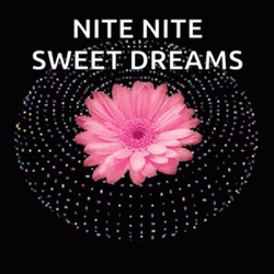Nite Nite Pink Daisy Flower Trippy GIF