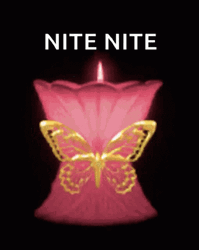Nite Nite Pink Lighted Butterfly Candle  GIF