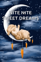 Nite Nite Sleeping Bunny On The Moon GIF