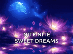 Nite Nite Sweet Dreams Glowing Lotus Flowers  GIF