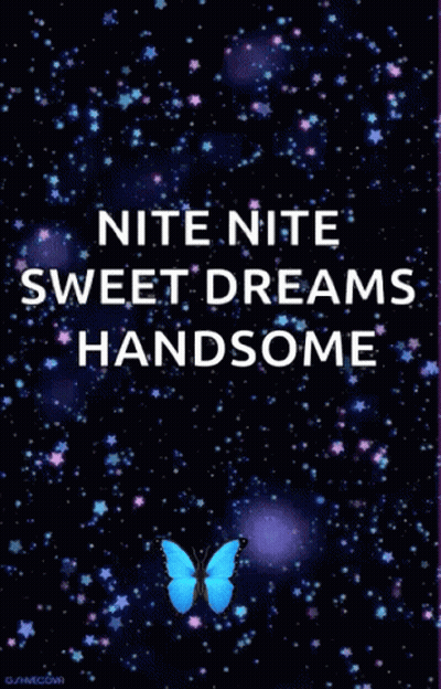 Nite Nite Sweet Dreams Handsome Butterfly Poster GIF