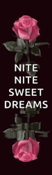 Nite Nite Sweet Dreams Pink Rose Water Reflection GIF