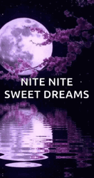 Nite Nite Sweet Dreams Purple Moon Lake GIF