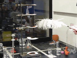 Nitrogen Triiodide Detonation Chemical Reaction GIF