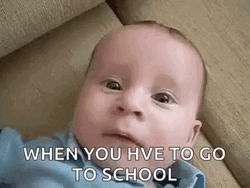 No Back To School GIF