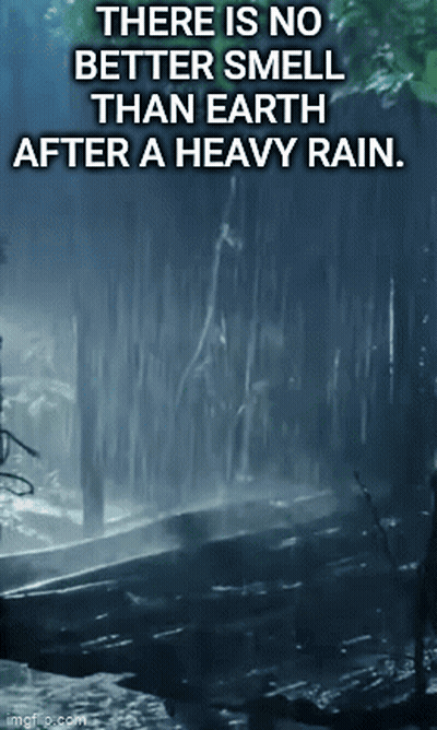 No Better Smell Than Earth After Heavy Rain Poster GIF