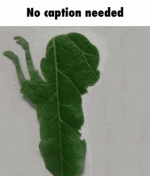 No Caption Needed Dancing Leaf GIF
