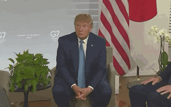No Comment Donald Trump GIF