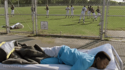 No Dogs Allowed Sign Behind Fence GIF