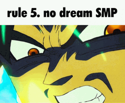 No Dream Smp Rule No. 5 GIF