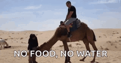No Food No Water Desert GIF