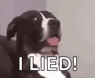 No From Me Dawg Funny Dog Moment GIF