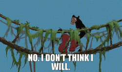 No I Don't Think I Will Cartoon Alpaca GIF