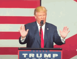 No I Don't Think I Will Donald Trump GIF