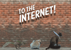 No Internet Animal Friends Running GIF
