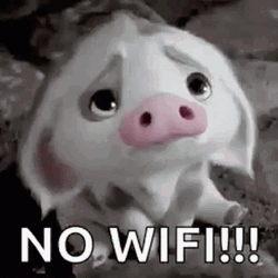 No Internet Sad Piglet GIF