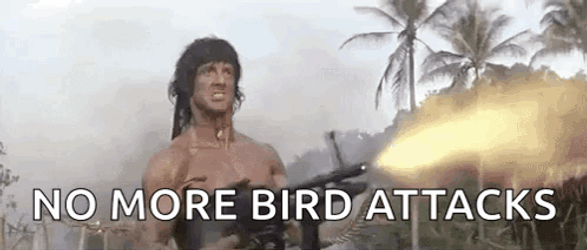 No More Bird Attacks Rambo Machine Gun GIF
