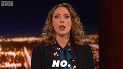 No No No Erin Gibson GIF
