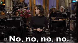 No No No Selena Gomez Smile GIF