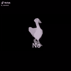 No Omar Ahmed GIF