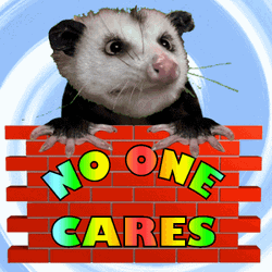No One Cares Virginia Opossum Animal Animation GIF