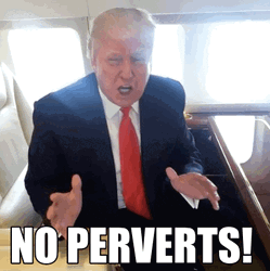 No Perverts Donald Trump Meme GIF