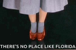 No Place Like Florida Tapping Lighting Shoes GIF