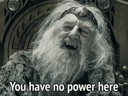 No Power Lord Of The Rings Theoden GIF
