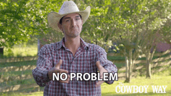 No Problemo Cody Harris GIF