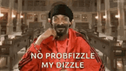 No Problemo Snoop Dogg GIF