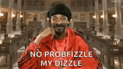 No Problemo Snoop Dogg GIF