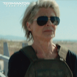 No Problemo Terminator 2 Mood  GIF
