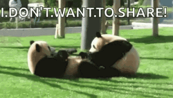 No Share Pandas Eating Meme GIF