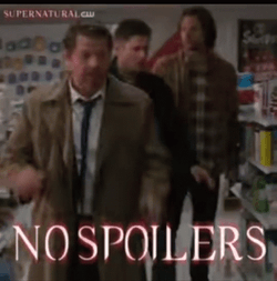 No Spoilers Sam Defeaned GIF