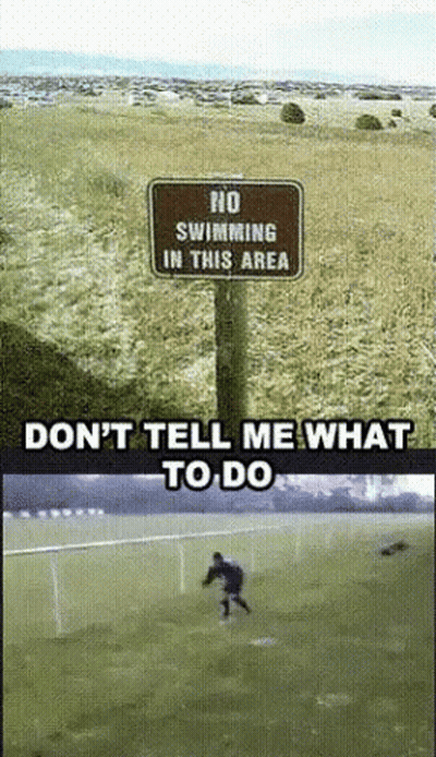 No Swimming Sign Next To Soccer Field GIF