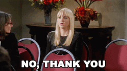 No Thanks Anna Faris GIF