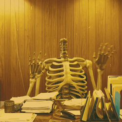 No Thanks Headless Skeleton GIF