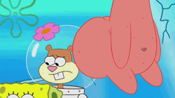 No This Is Patrick Butt On Sandy Cheeks GIF