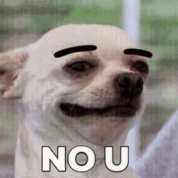 No U Funny Dog Eyebrow  GIF