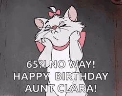 No Way Happy Birthday Aunt Clara GIF