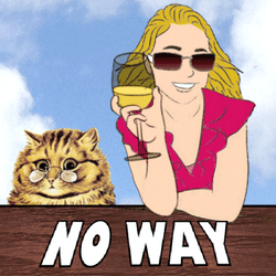 No Way I Don't Think So GIF