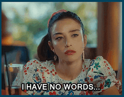 No Words Bay Yanlis Series GIF
