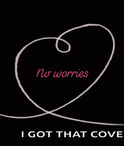 No Worries I Got That Cove Heart GIF