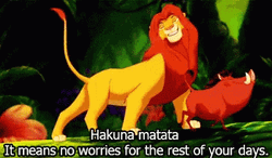 No Worries Lion King Meme GIF