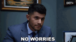 No Worries The Oval GIF
