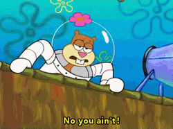 No You Are Not Sandy Cheeks GIF