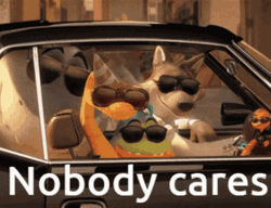Nobody Cares Animated Driving Dogs GIF