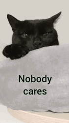 Nobody Cares Emo Black Cat GIF