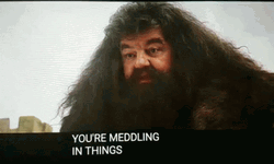 Nodding Rubeus Hagrid GIF