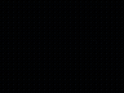 Noggin Logo With Tree And Two Birds GIF